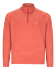 Men's Active Stripe 1/4 Zip - Paddle