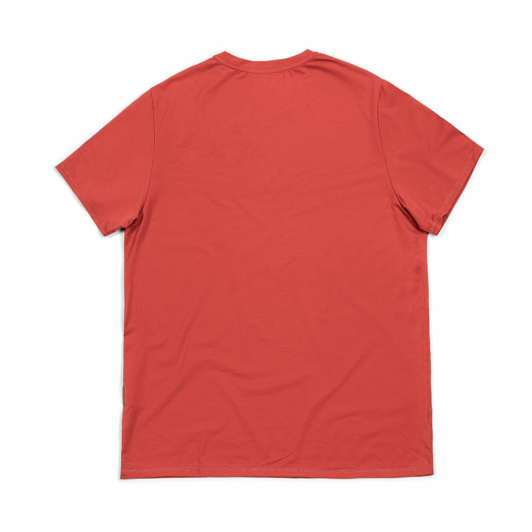 Men's Hybrid Tee - Pickle